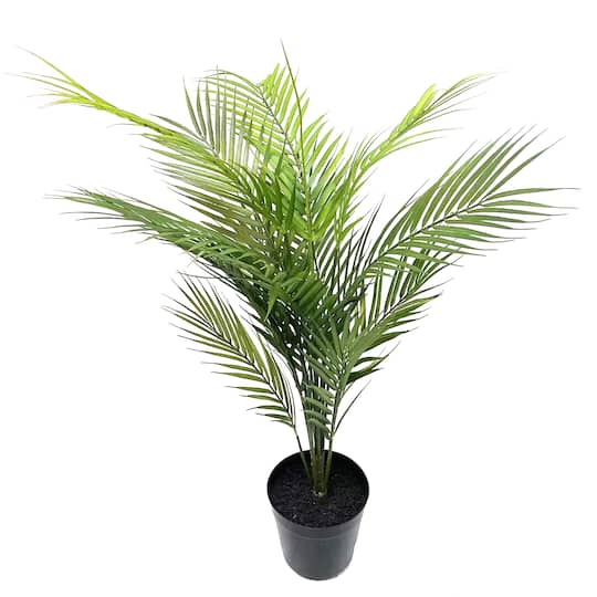 3ft. Potted Areca Palm Tree by Ashland®